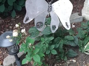 Garden Butterfly 303x551x0x162x303x227x1662739145