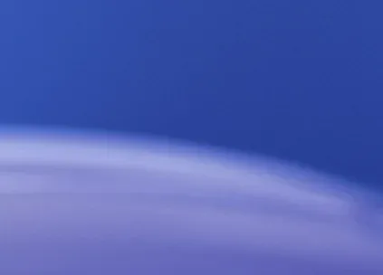 Imgi 21 Butterfly Right.png