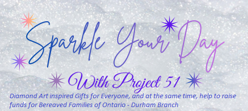 sparkle your day with project 51 banner